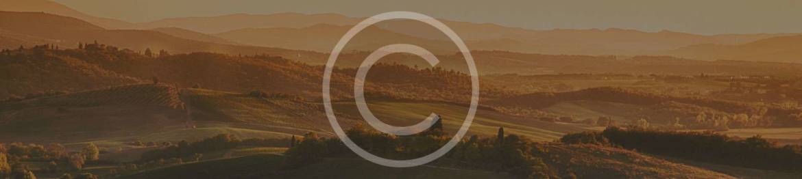 header_bg.jpg