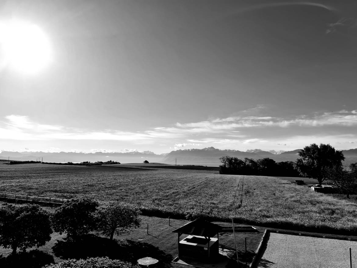 20210514_081502.jpg