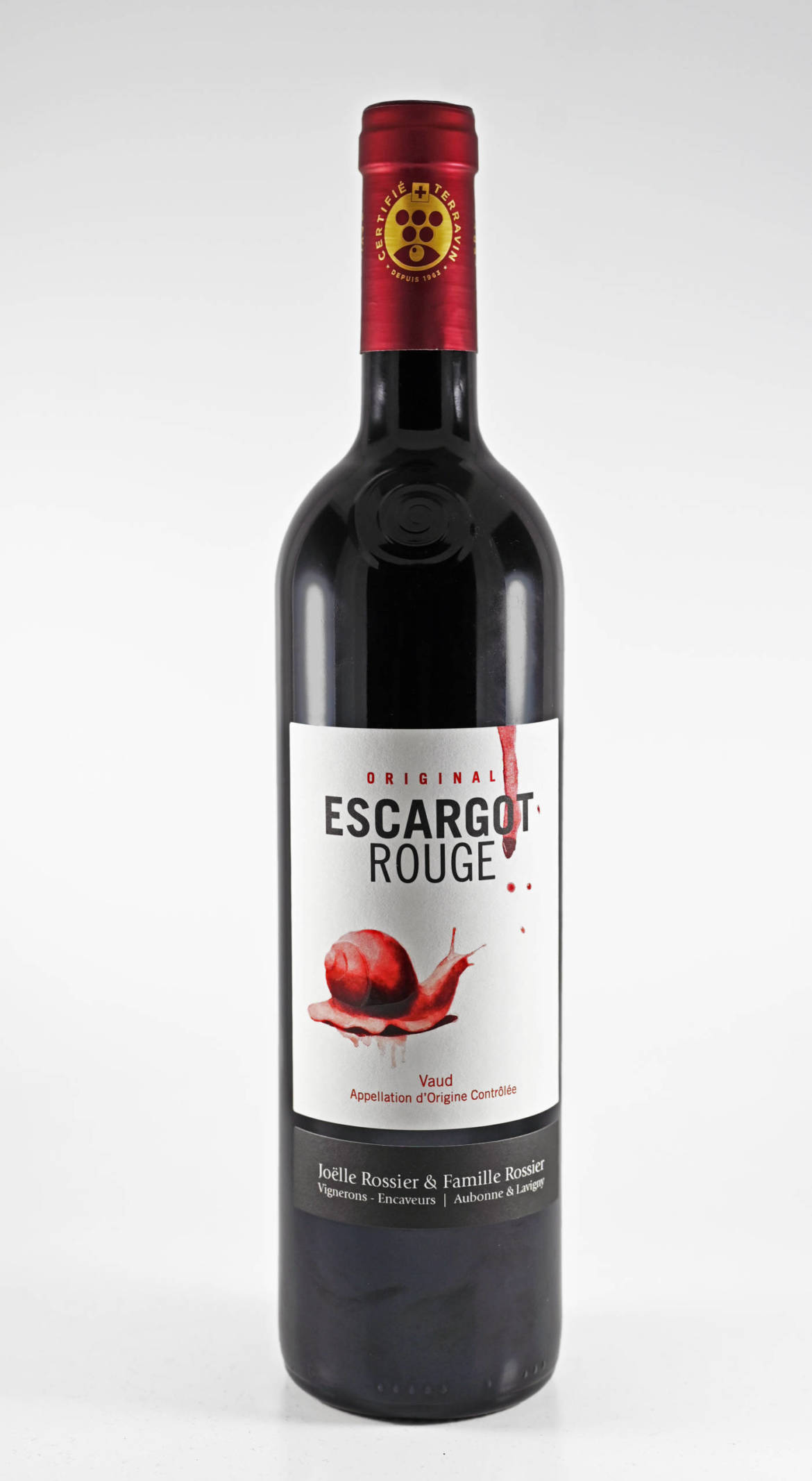 Escargot_rouge-scaled.jpg