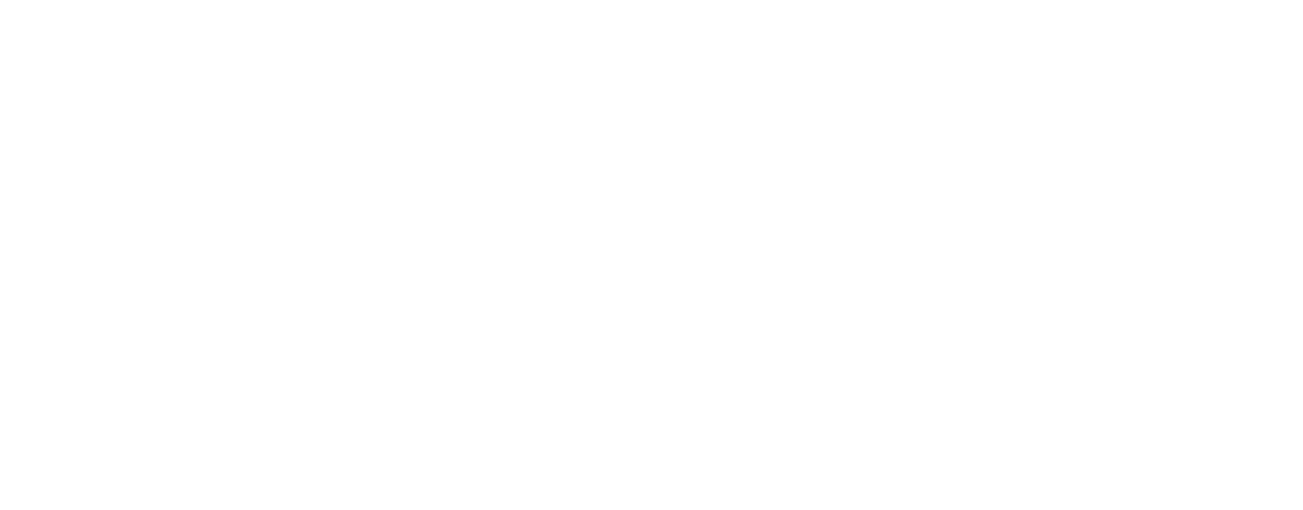 Logo-Partner-Blanc.png